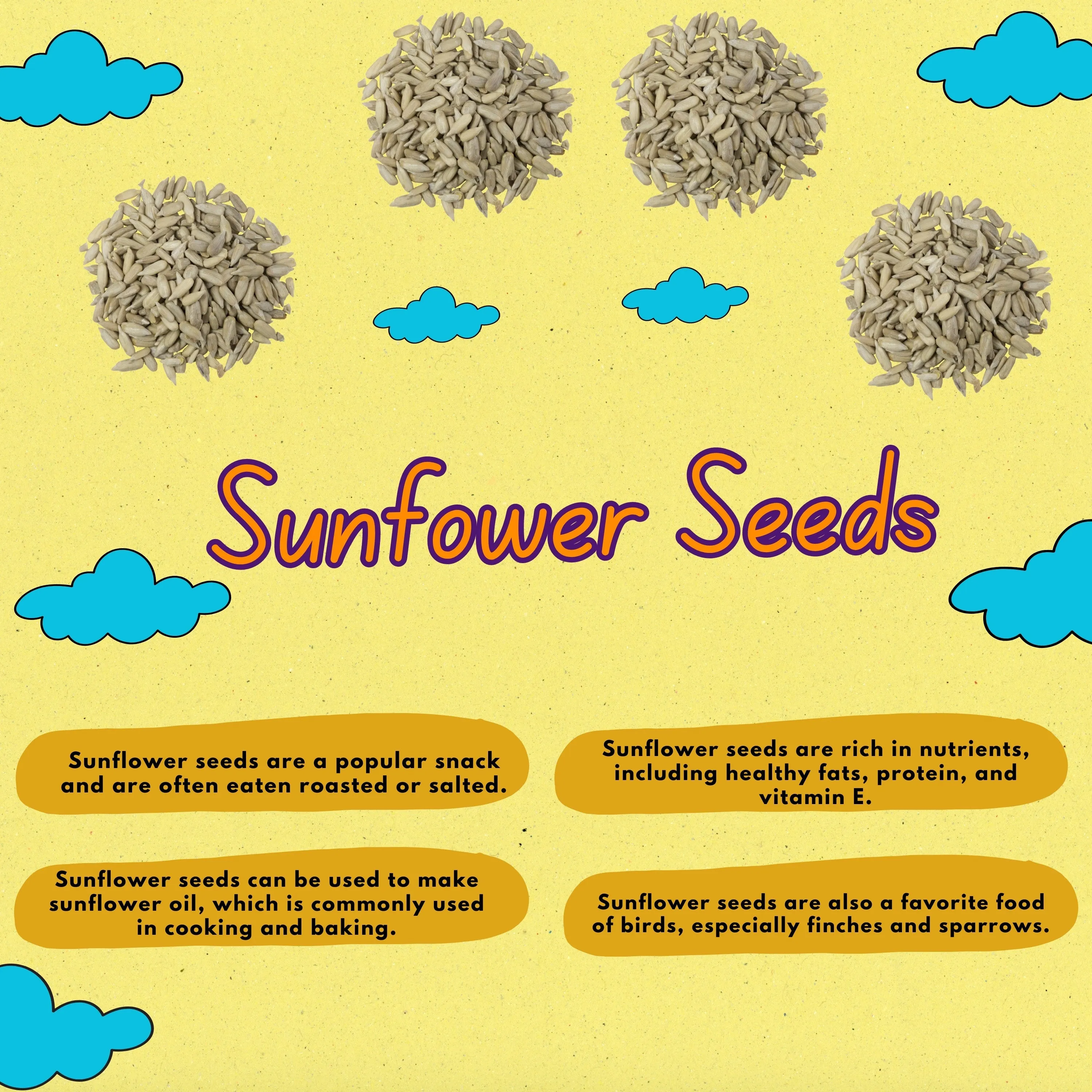 Sunflower Seeds,  Premium Pack, Raw & Natural, 250g